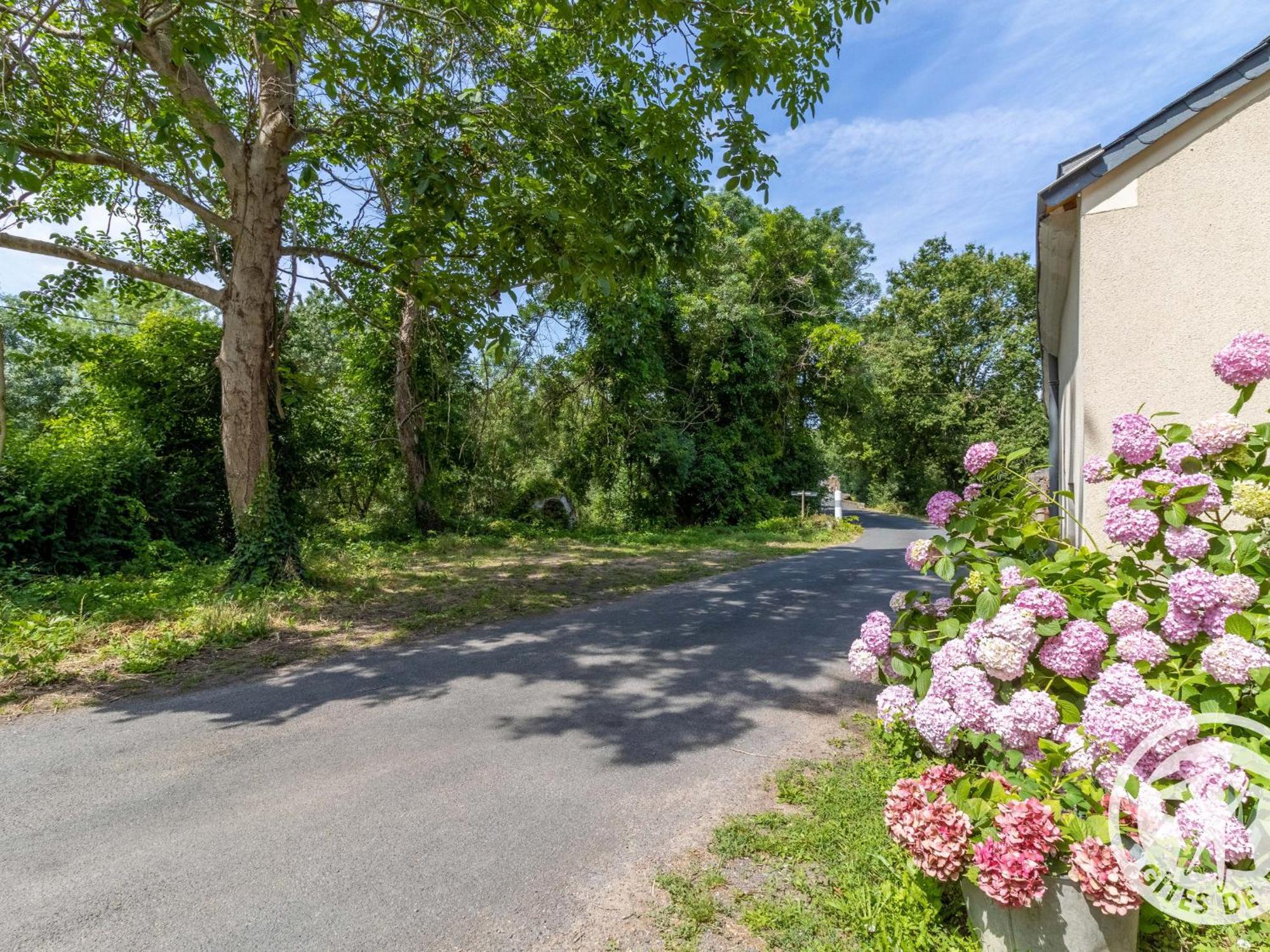 Maison De Vacances Renovee Sur L'Ile Fluviale De Chalonnes, Terrasse, Bbq, Pret De Velos - Fr-1-622-61 Villa Exterior photo