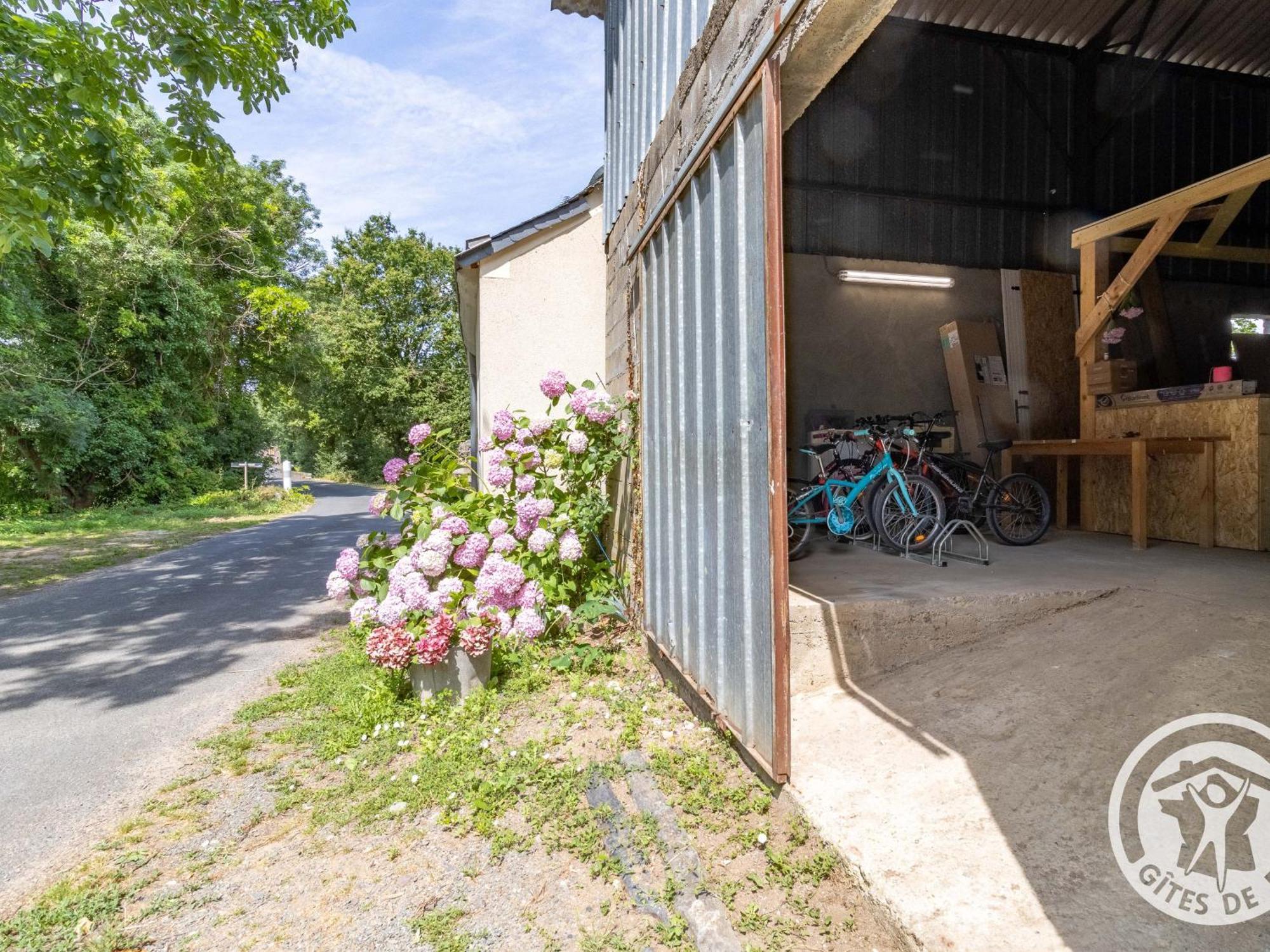 Maison De Vacances Renovee Sur L'Ile Fluviale De Chalonnes, Terrasse, Bbq, Pret De Velos - Fr-1-622-61 Villa Exterior photo